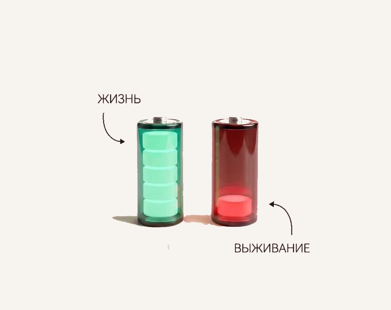 Жизнь vs Выживание